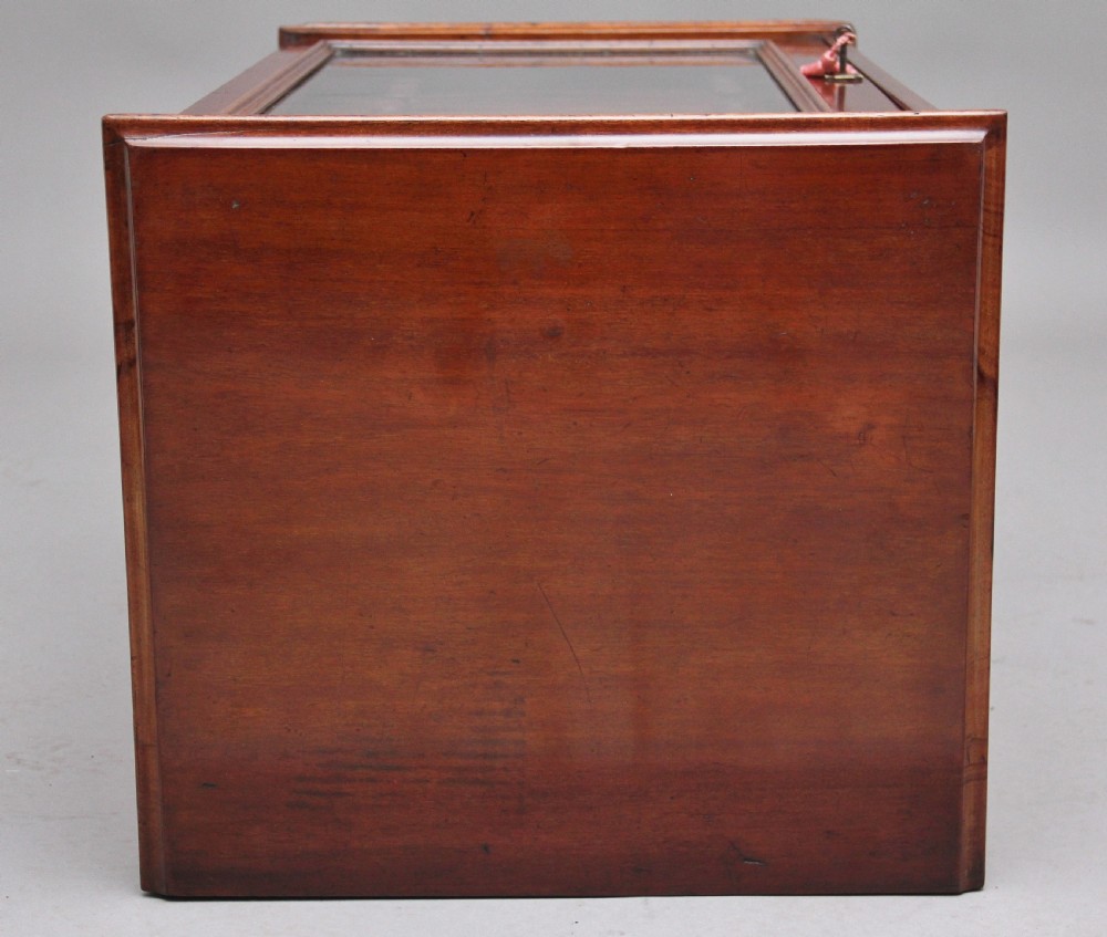19th Century mahogany collectors cabinet View IX
