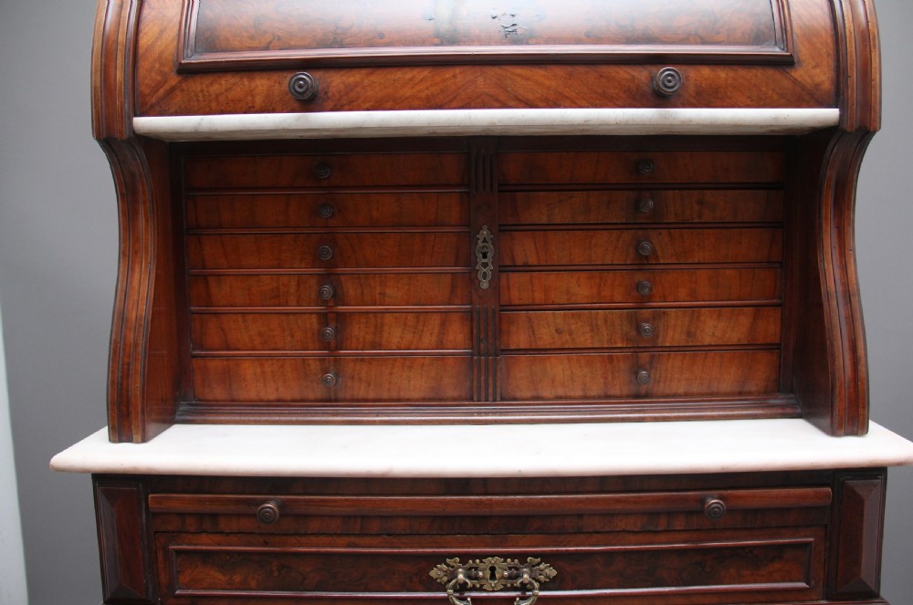 19th Century burr walnut dentist cabinet View VIII