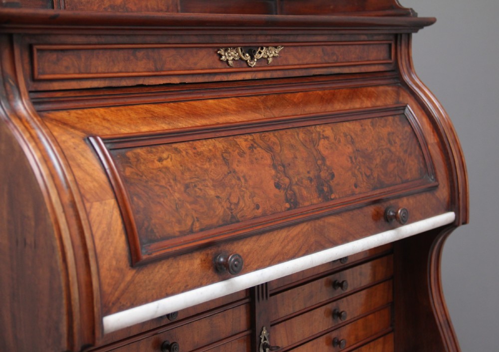 19th Century burr walnut dentist cabinet View XII