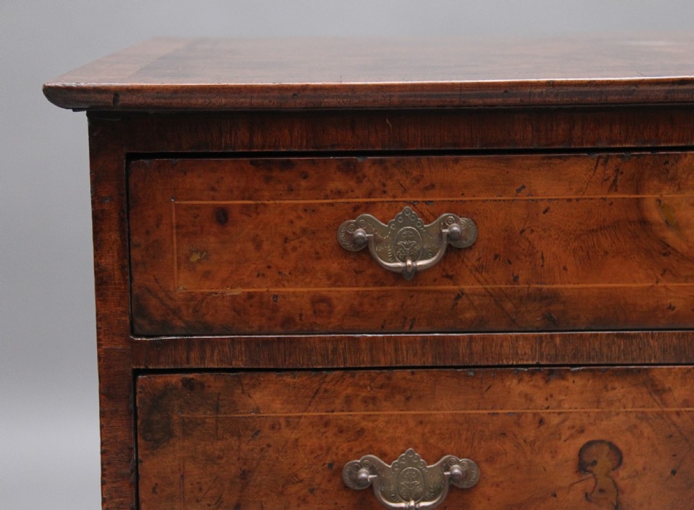 Early 20th Century burr walnut chest View VIII