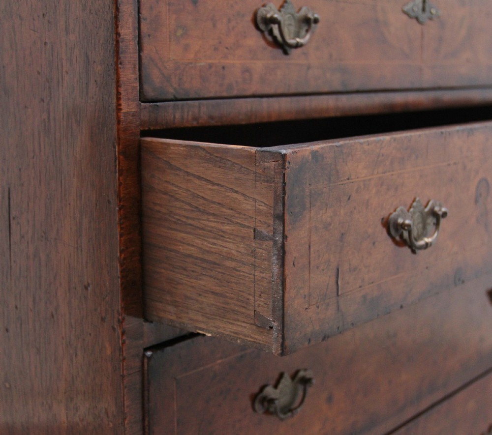 Early 20th Century burr walnut chest View IX