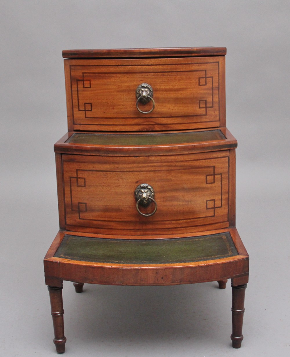 19th Century mahogany library steps View VIII
