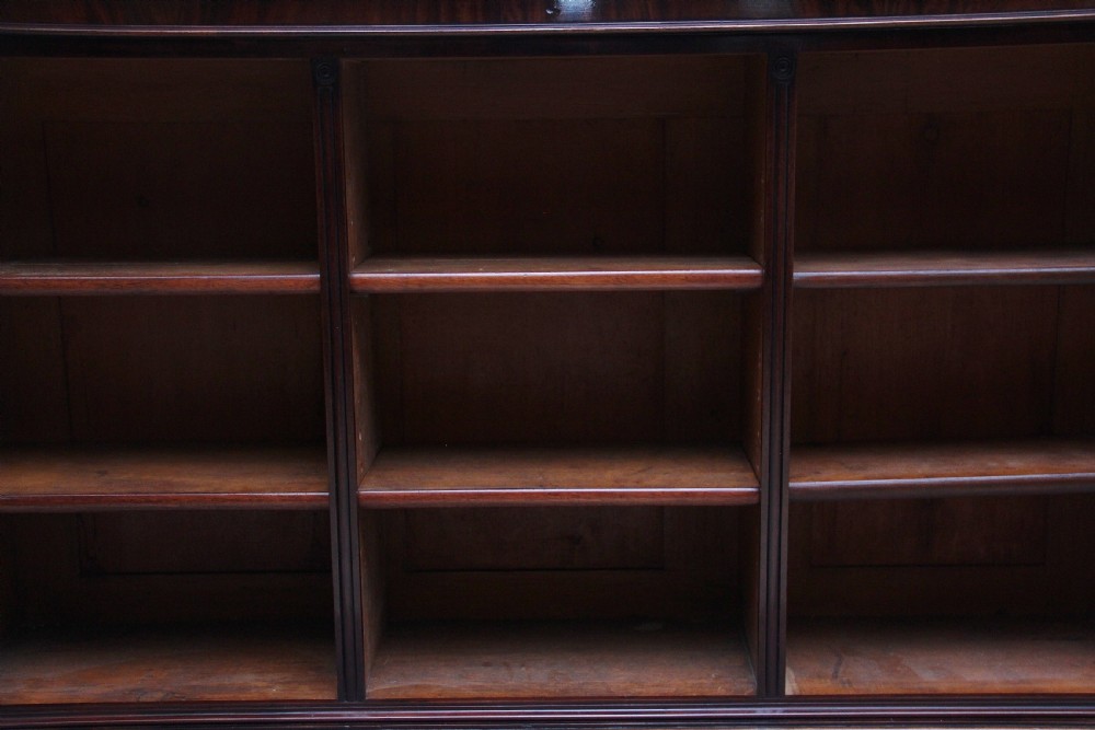 Early 19th Century open bookcase View III