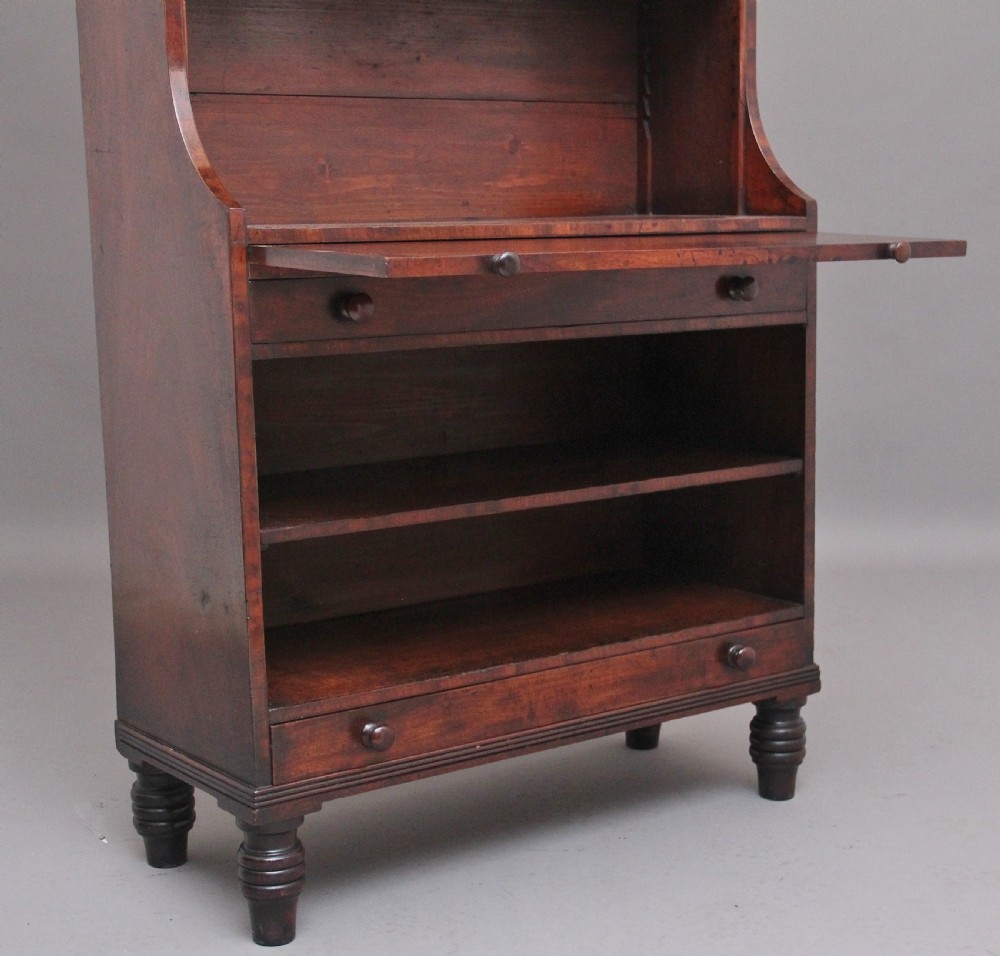 Early 19th Century mahogany bookcase View V