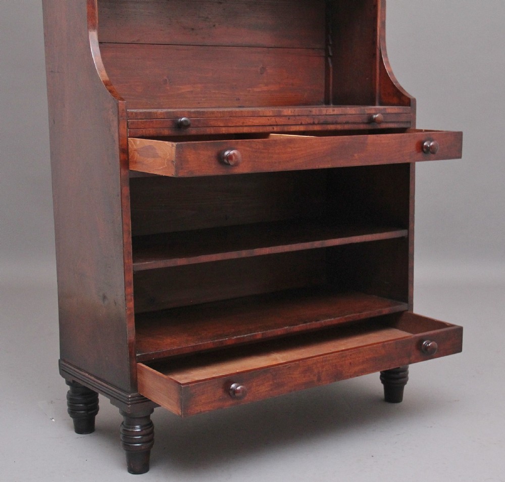 Early 19th Century mahogany bookcase View VI