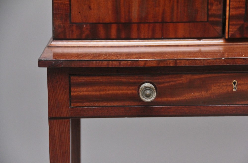 19th Century mahogany collectors cabinet View XII