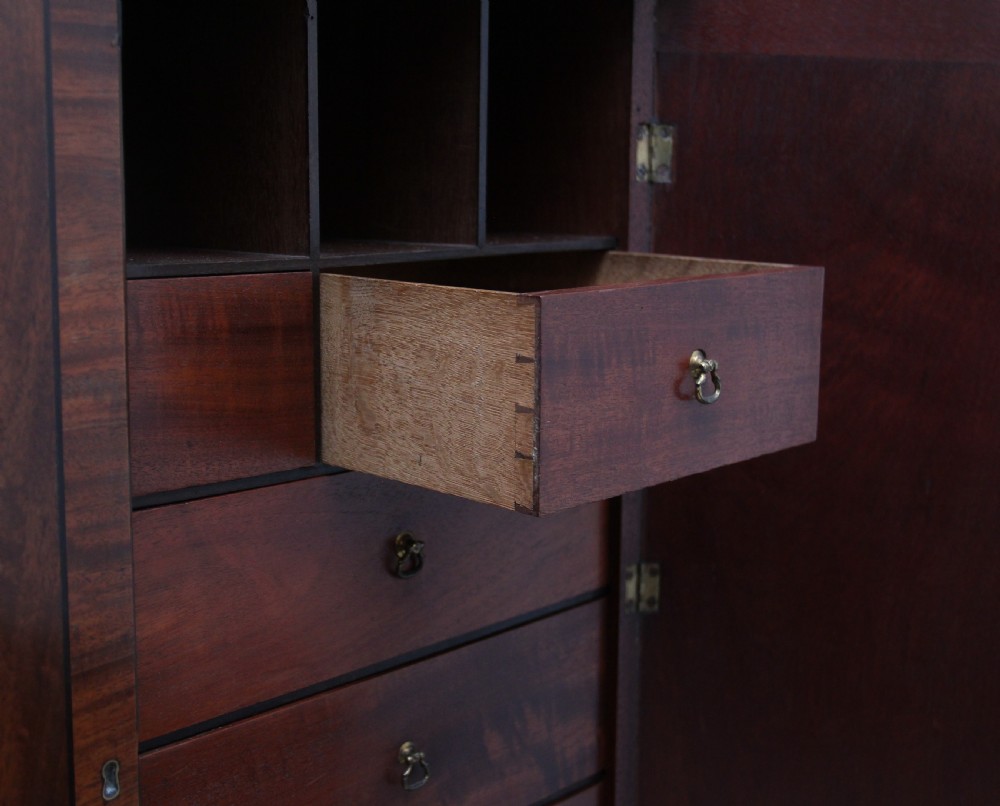19th Century mahogany collectors cabinet View XIII