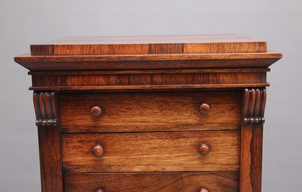 Early 19th Century rosewood Wellington chest View XIV
