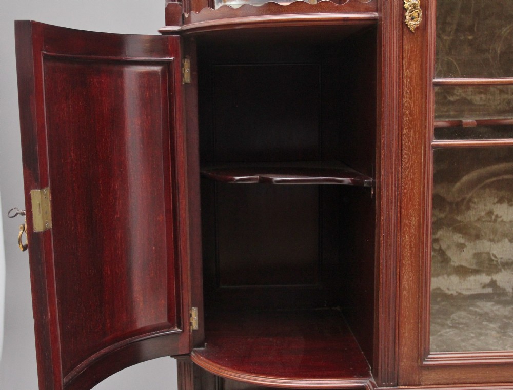 19th Century mahogany display cabinet View XII