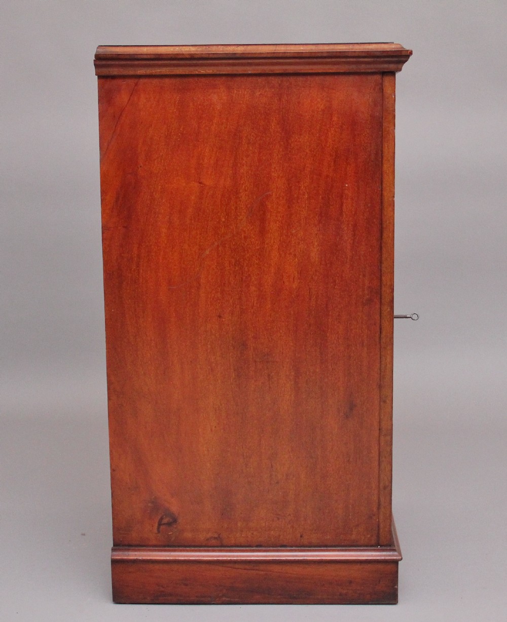 19th Century antique mahogany collectors cabinet View VIII