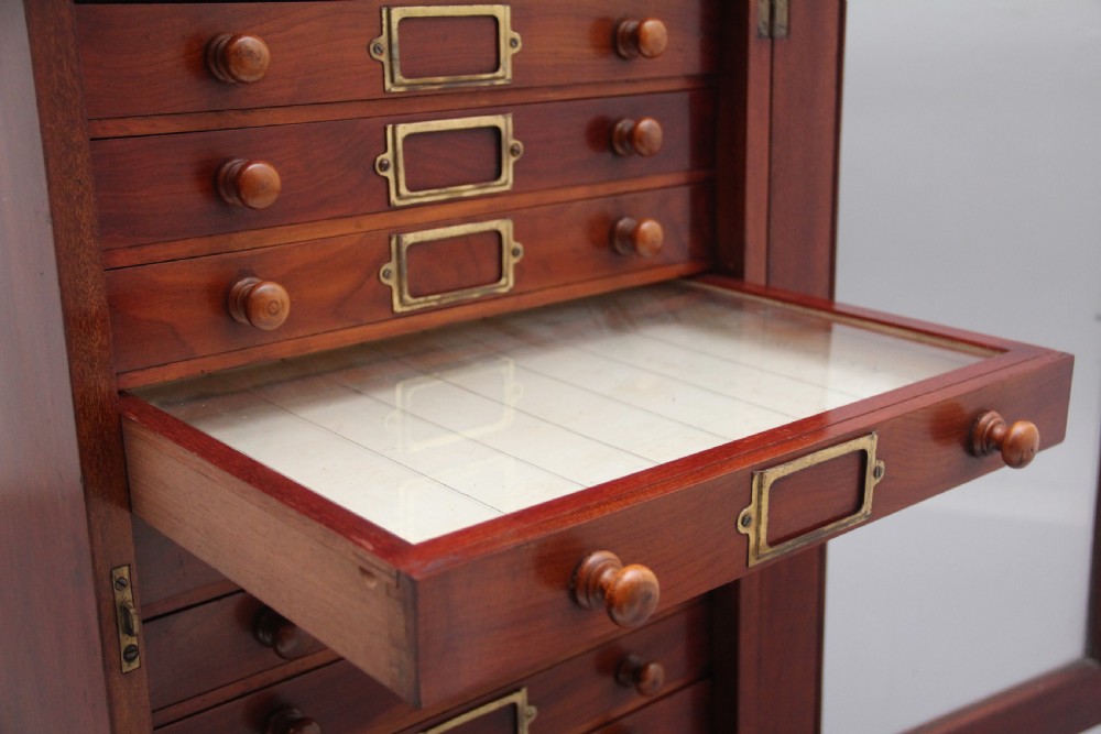 19th Century antique mahogany collectors cabinet View XIV