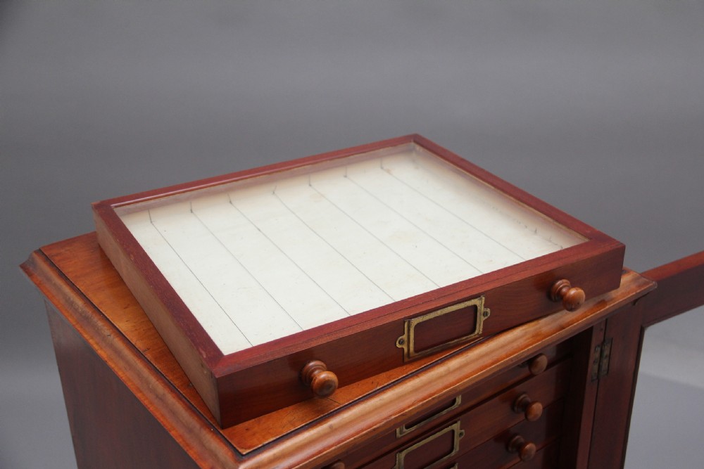 19th Century antique mahogany collectors cabinet View XV