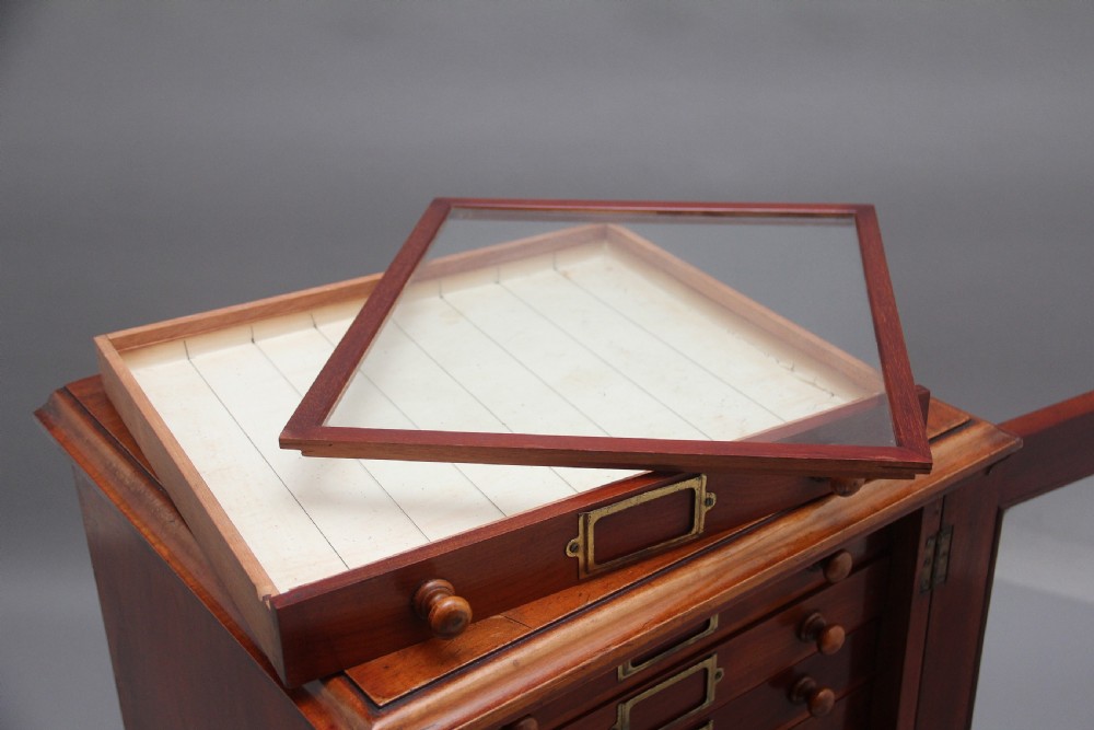 19th Century antique mahogany collectors cabinet View XVI