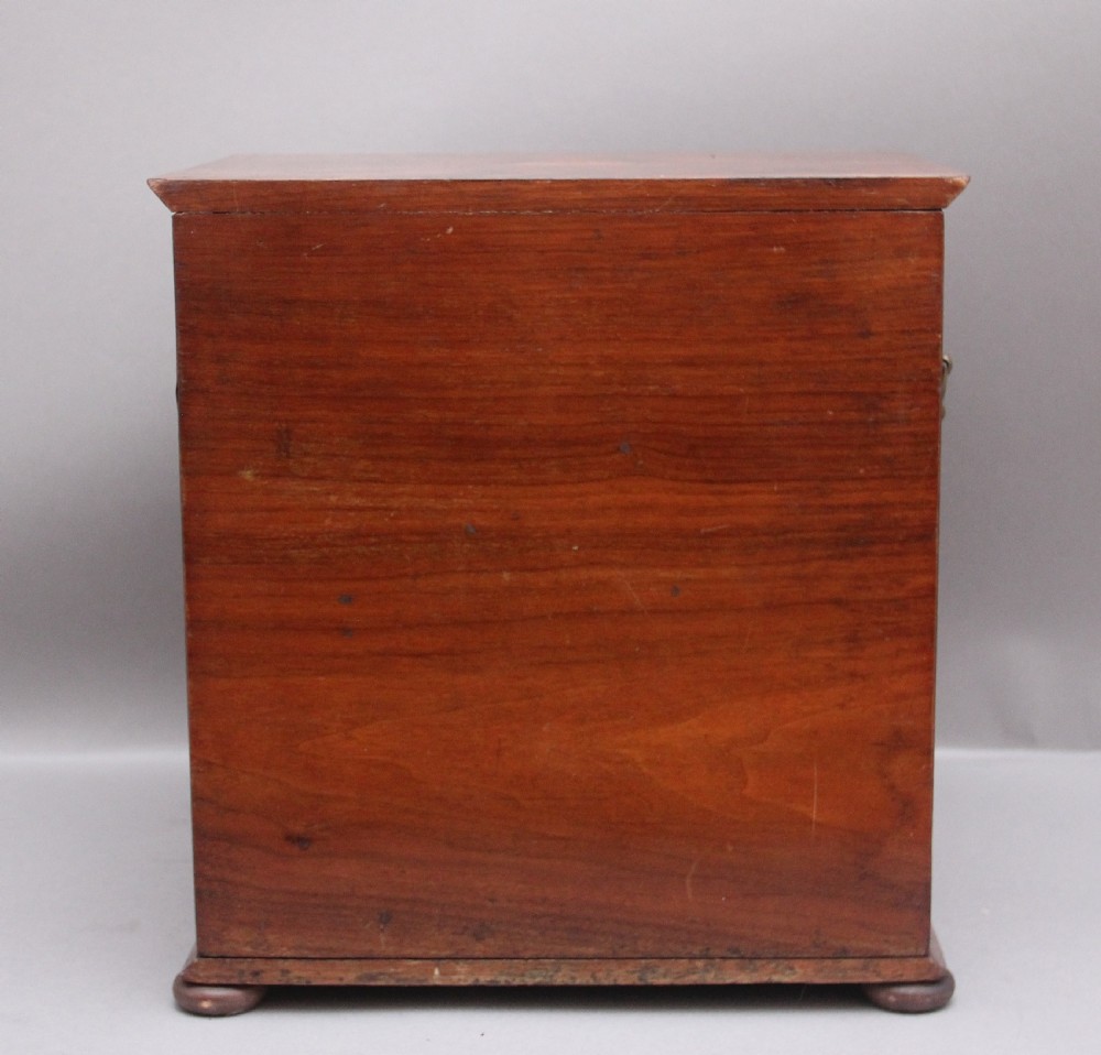 19th Century walnut table cabinet View VIII
