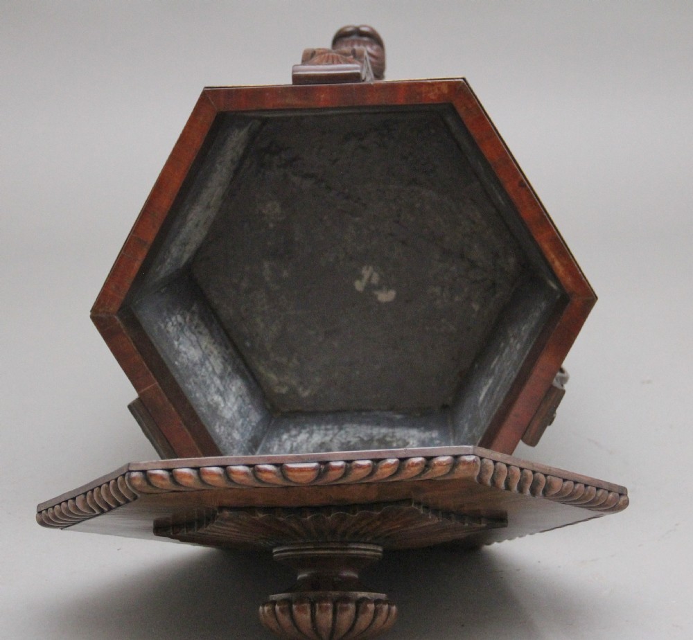 An early twentieth-century mahogany wine cooler featuring a gadrooned hinged lid with turned finial, brass strapping, carved rosette details, and carved dolphin legs. View X