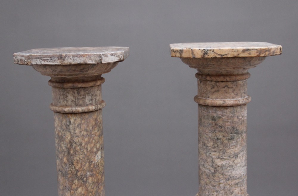 Pair early 20th Century Italian pedestal columns View II