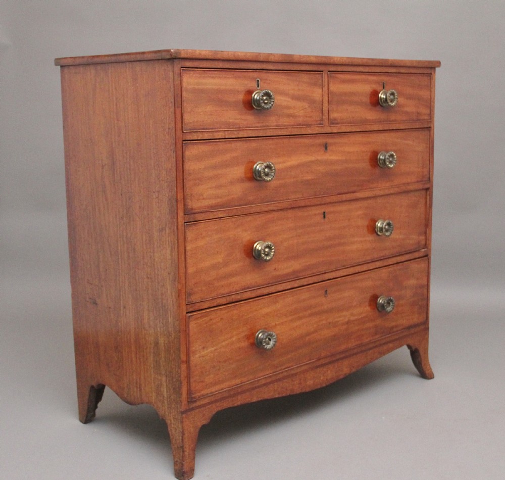Early 19th Century mahogany chest of drawers View III