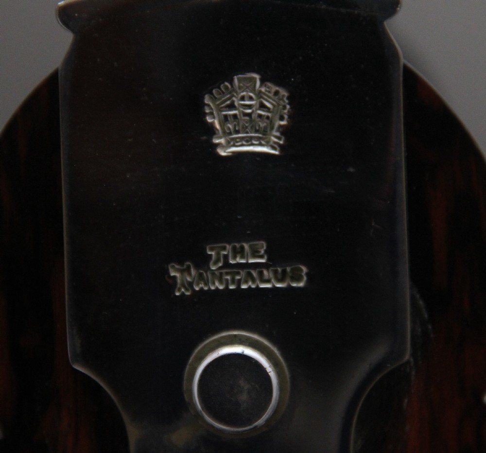 Large 19th Century coramandel Tantalus View V