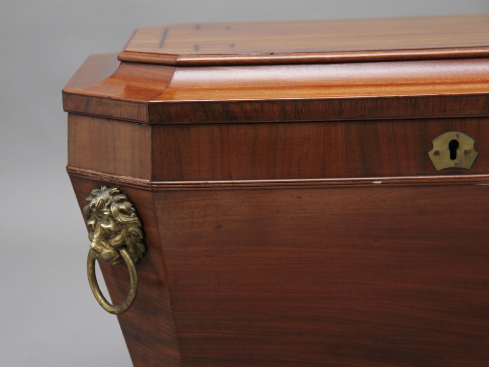 Regency mahogany sarcophagus wine cooler View XII