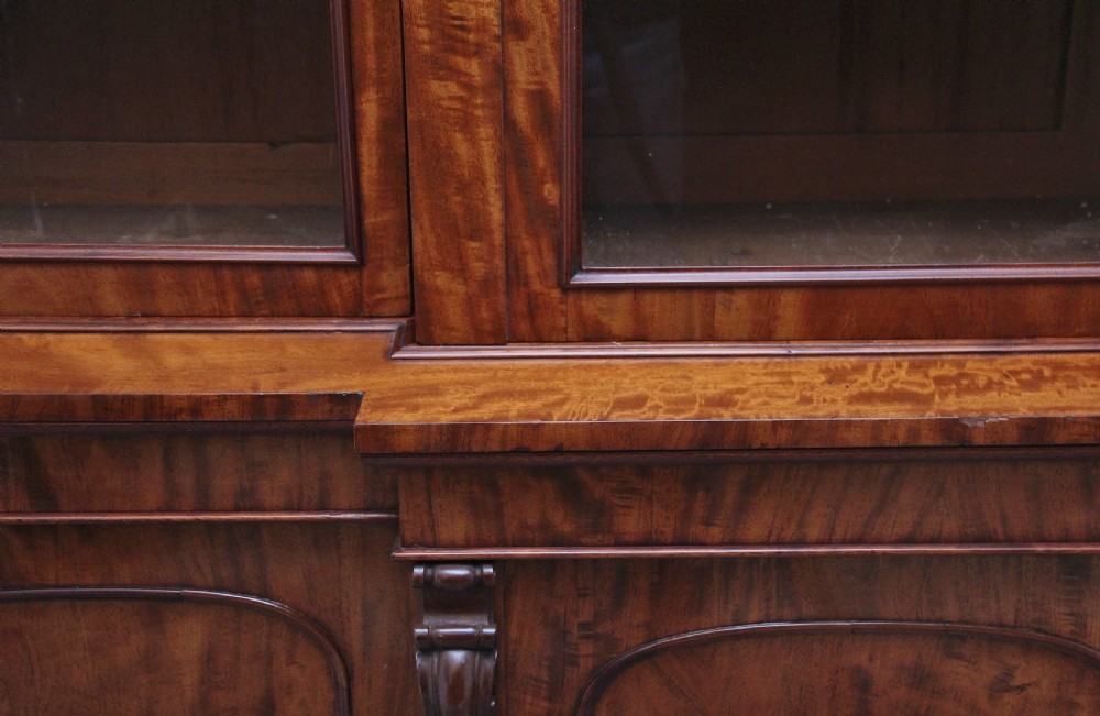 large 19th Century mahogany breakfront bookcase View XV