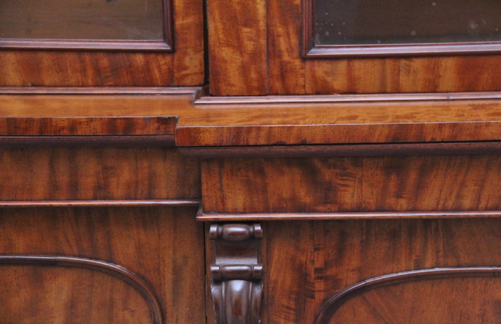 large 19th Century mahogany breakfront bookcase View XVIII