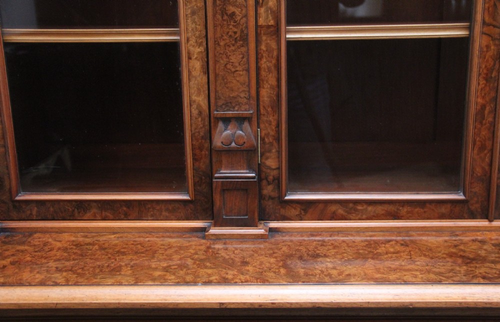 Fabulous quality 19th Century burr walnut bookcase View VII