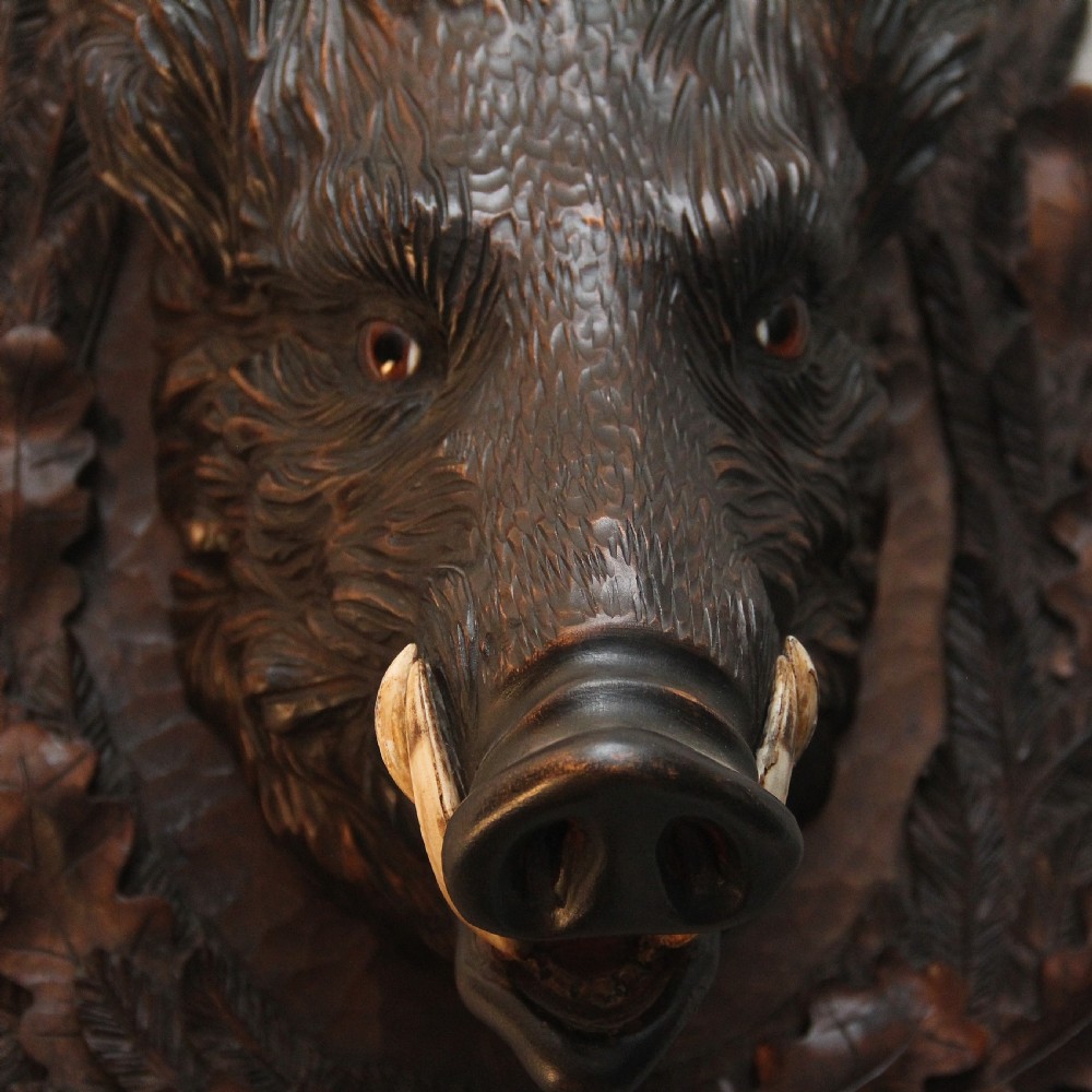 Early 20th Century black forest wild boars head View V