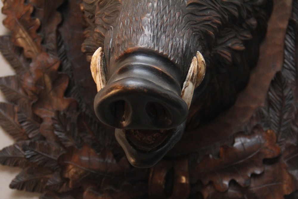 Early 20th Century black forest wild boars head View X