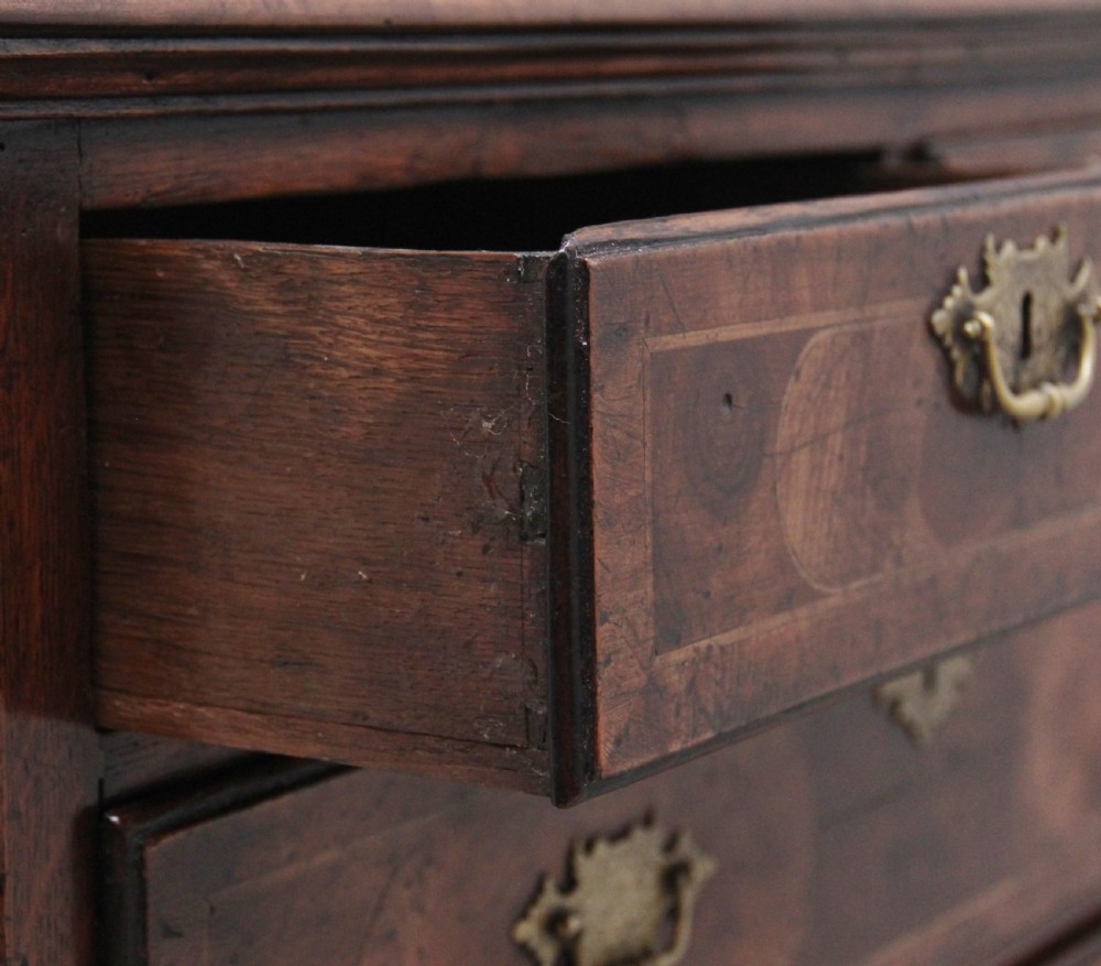 18th Century oyster wood chest of drawers View VI