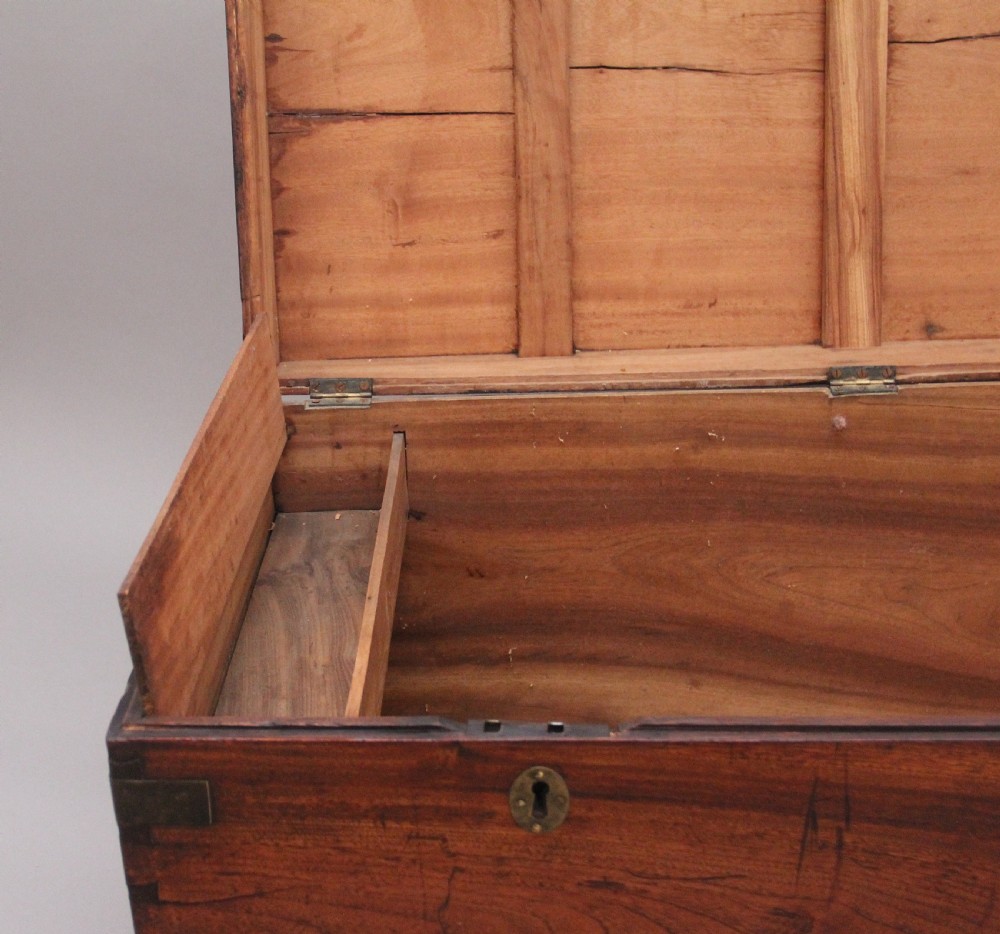 19th Century camphor wood campaign trunk View III