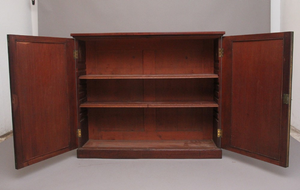 Early 19th Century mahogany cabinet  View II