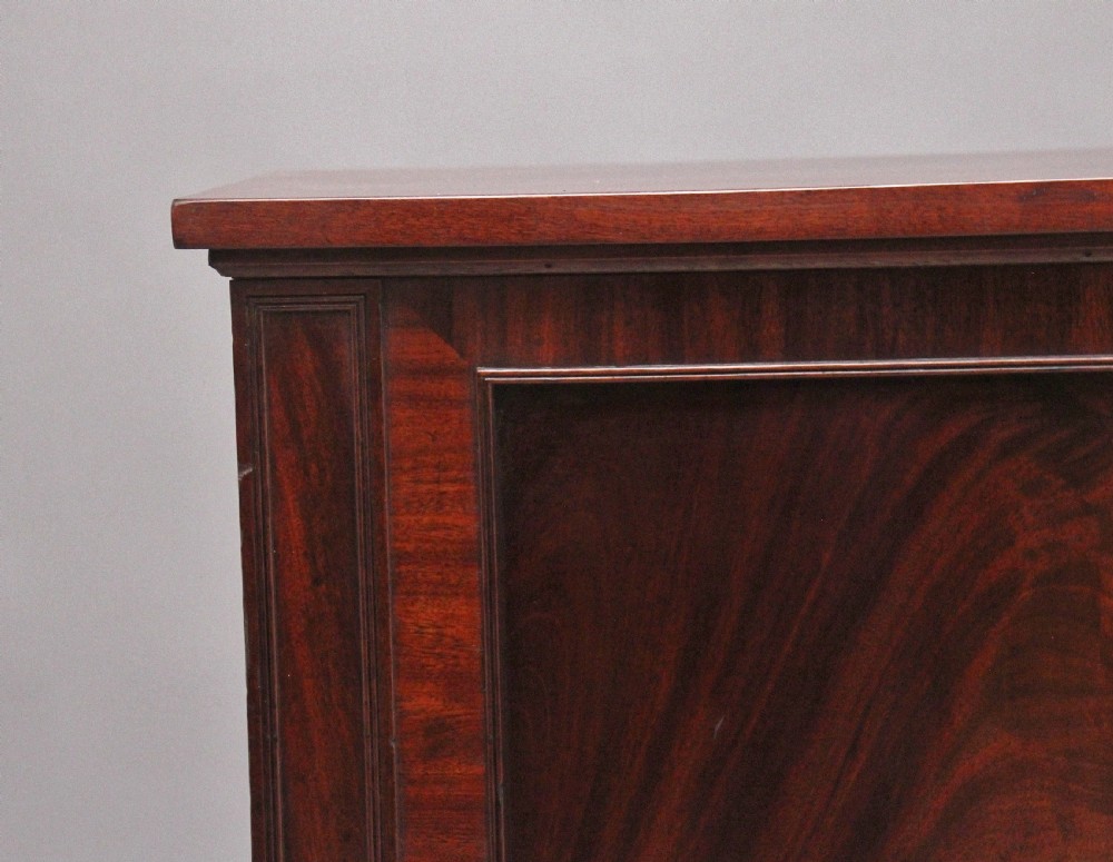 Early 19th Century mahogany cabinet  View III