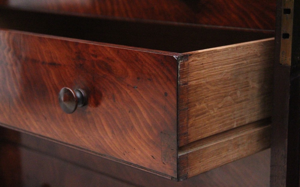Early 19th Century mahogany cabinet View VIII