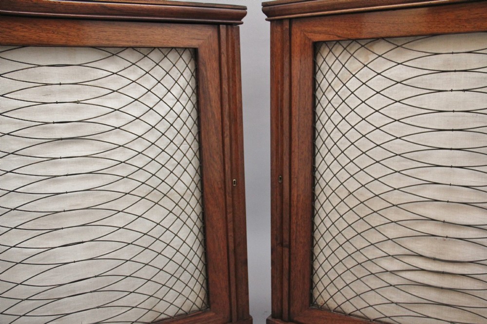 Pair early 19th Century rosewood cabinets  View VII