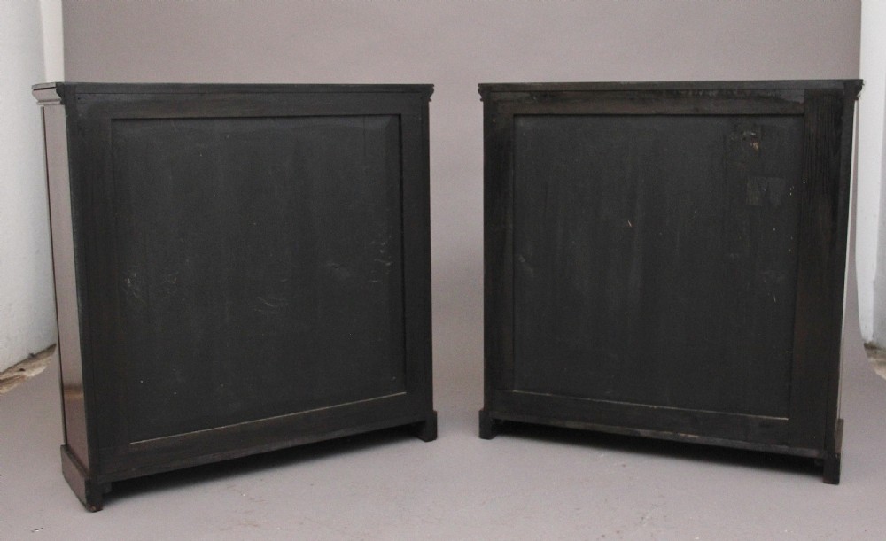 Pair early 19th Century rosewood cabinets  View XI