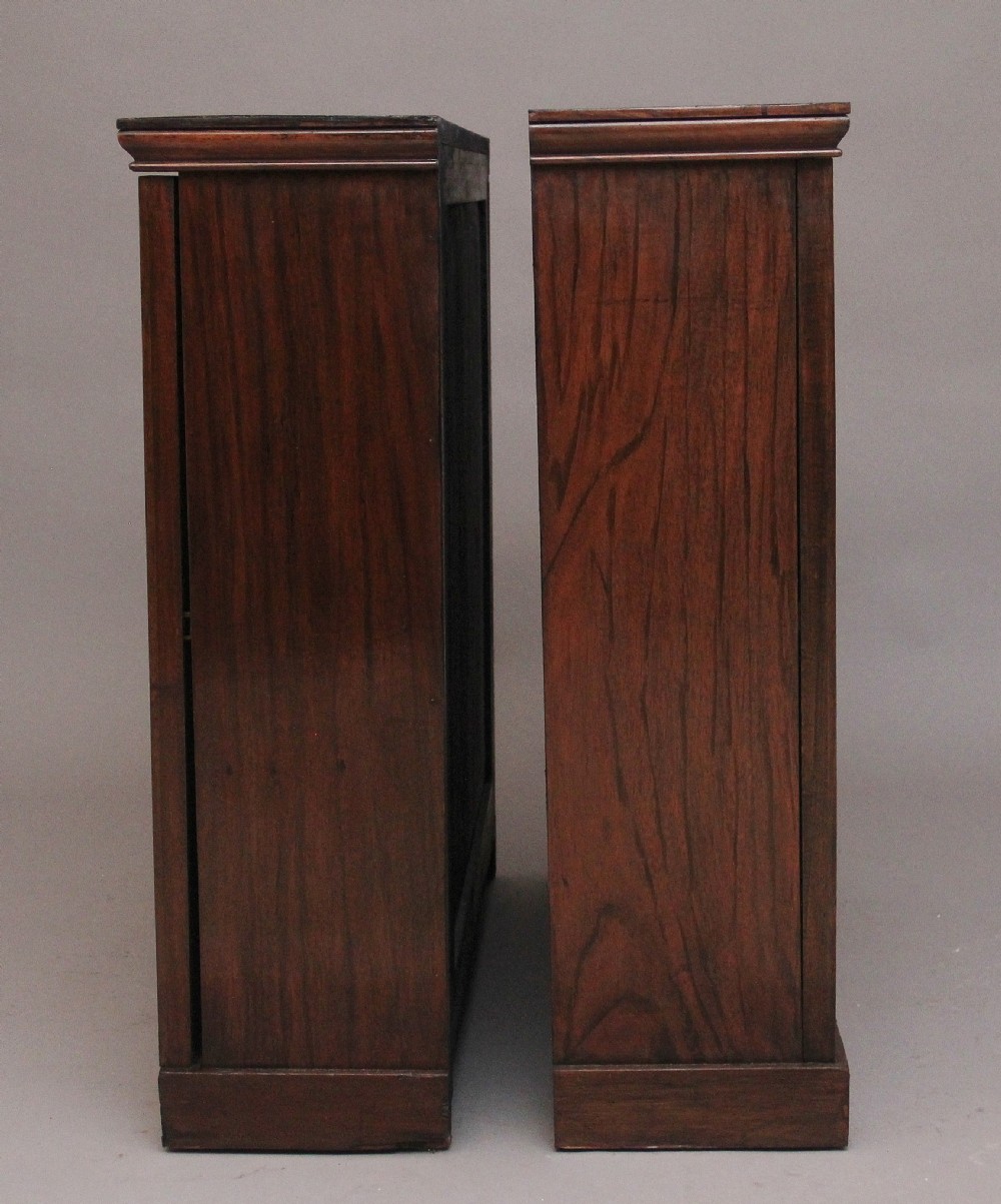 Pair early 19th Century rosewood cabinets  View XII