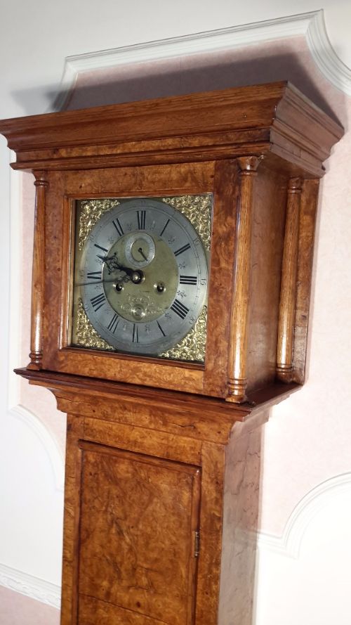 fig 1. Burr Walnut Grandfather Clock