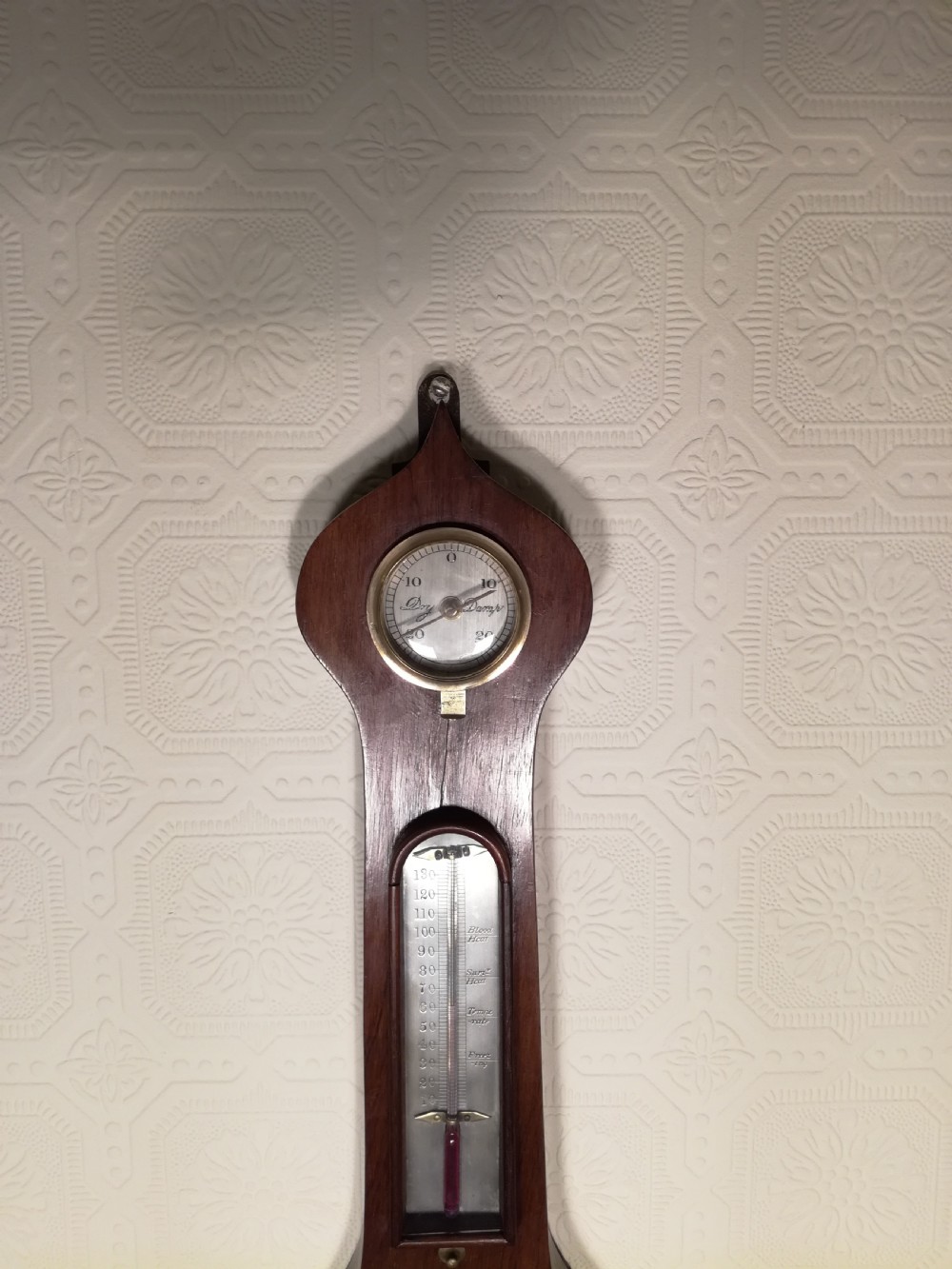 Victorian Mercury Barometer View II