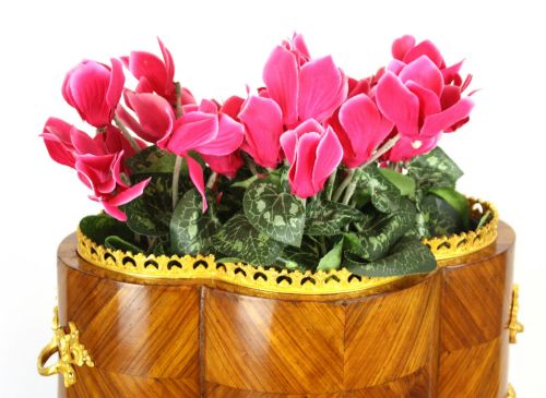 A FINE VICTORIAN KINGWOOD AND ORMOLU MOUNTED TABLE TOP JARDINIERE - ADDITIONAL PHOTO 5