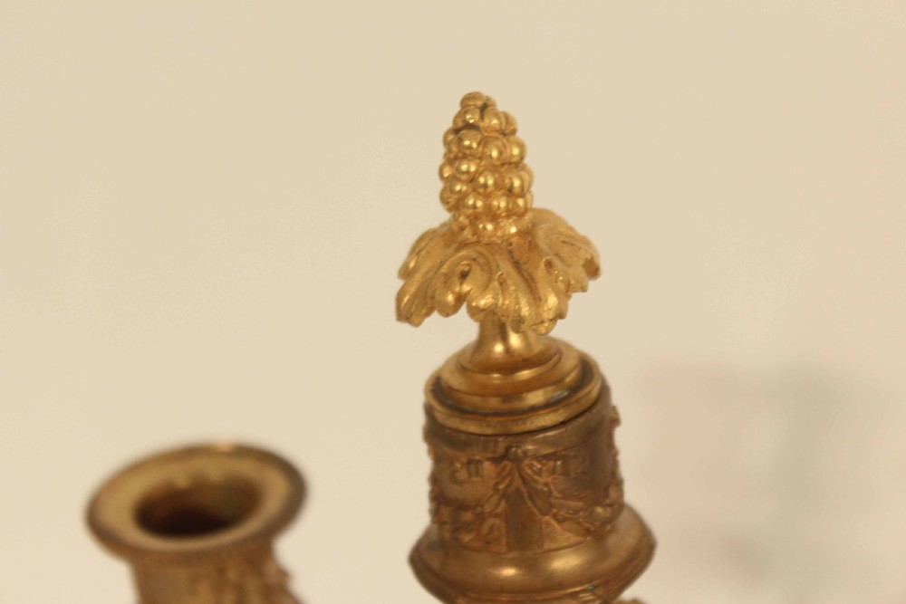A Pair Of Late 19th Century Gilt Ormolu Three Branched Candelabra. View V