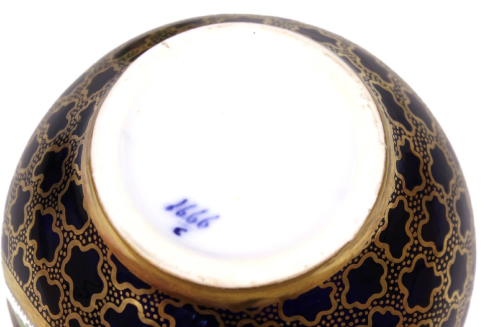 A Fine Pair of 18th Century Sevres Bottle Jugs View VIII