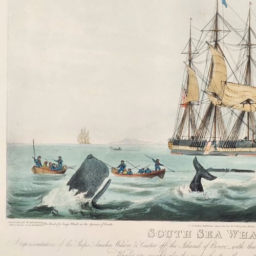 FRAMED ANTIQUE AQUATINT SOUTH SEA WHALE FISHERY 19TH C AFTER W J HUGGINS - ADDITIONAL PHOTO 3