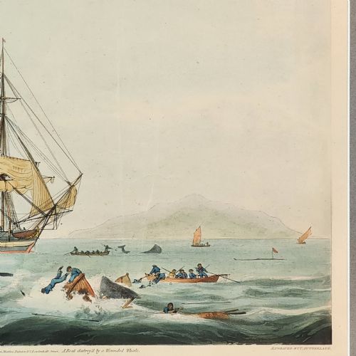FRAMED ANTIQUE AQUATINT SOUTH SEA WHALE FISHERY 19TH C AFTER W J HUGGINS - ADDITIONAL PHOTO 5