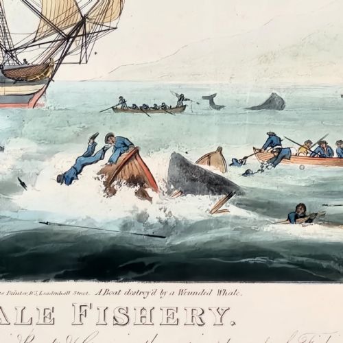FRAMED ANTIQUE AQUATINT SOUTH SEA WHALE FISHERY 19TH C AFTER W J HUGGINS - ADDITIONAL PHOTO 8