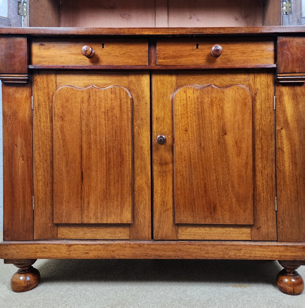 Antique Mahogany Bookcase Cupboard - Continental 19th Century View VII