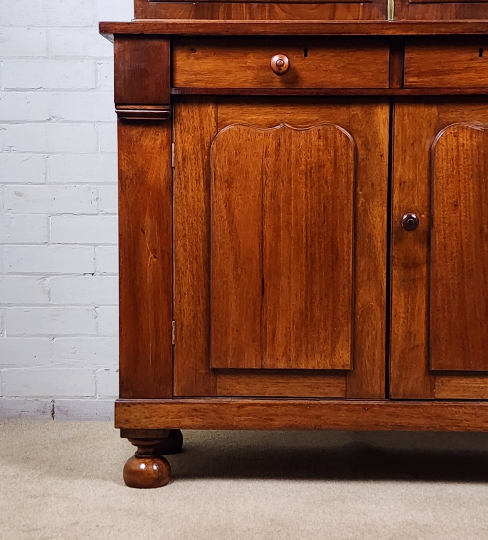 Antique Mahogany Bookcase Cupboard - Continental 19th Century View VIII