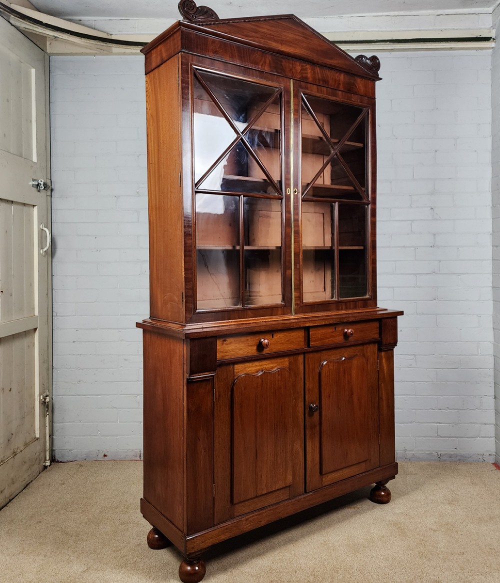 Antique Mahogany Bookcase Cupboard - Continental 19th Century View IX