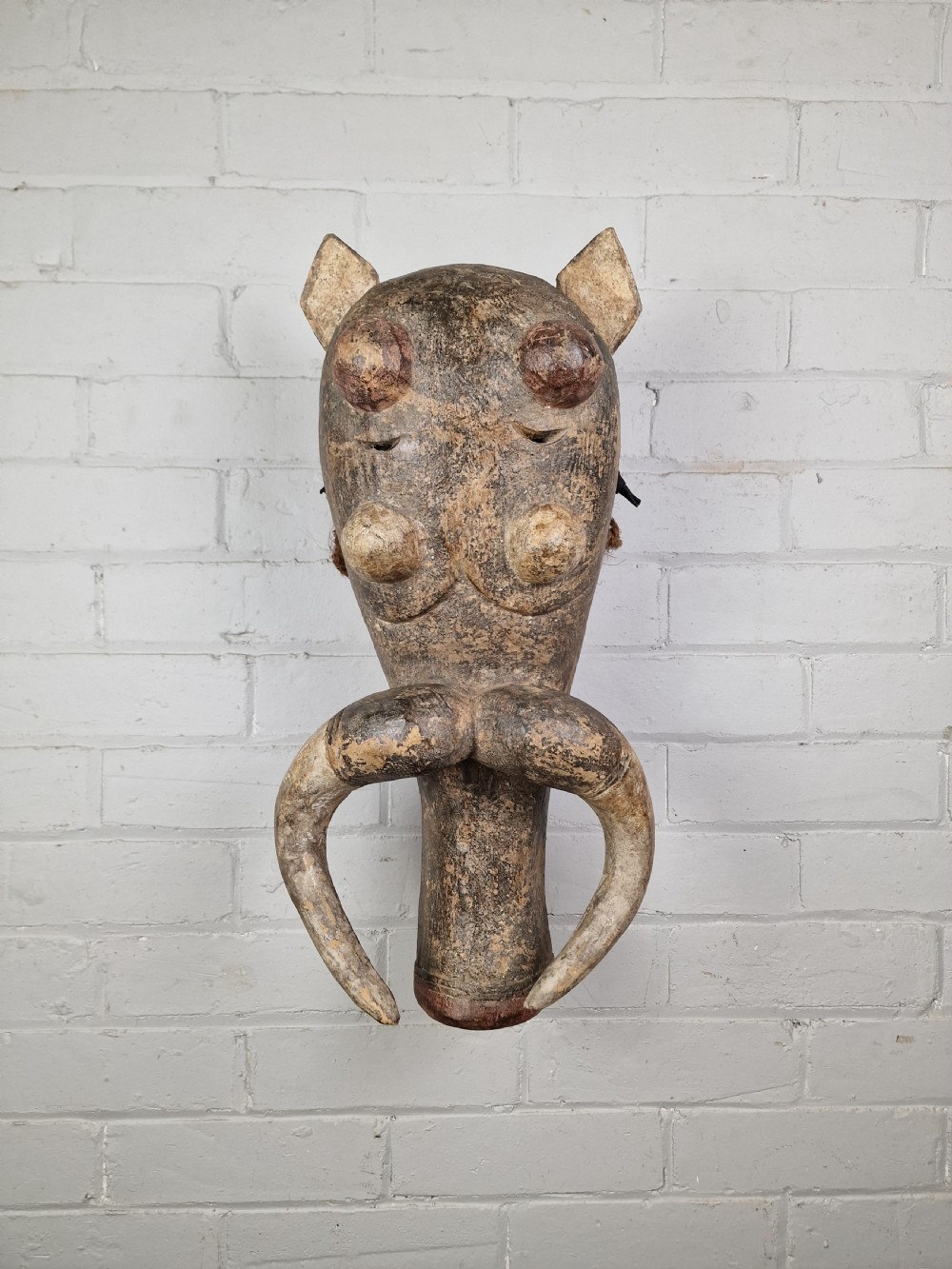 A hand-carved dark wood zoomorphic mask representing a warthog, featuring large curved tusks, rounded eye projections, and attached natural fibre ropes. View III