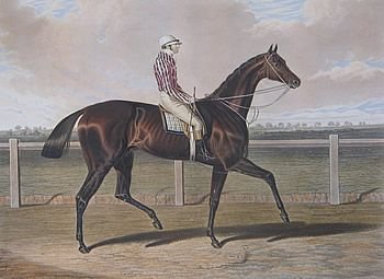 fig 1. J.F. Herring series of fine old racehorse aquatints