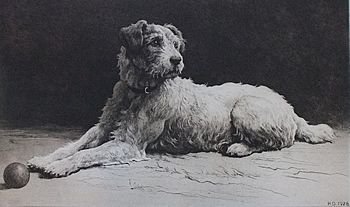 Herbert Dicksee "Ready"  Etching